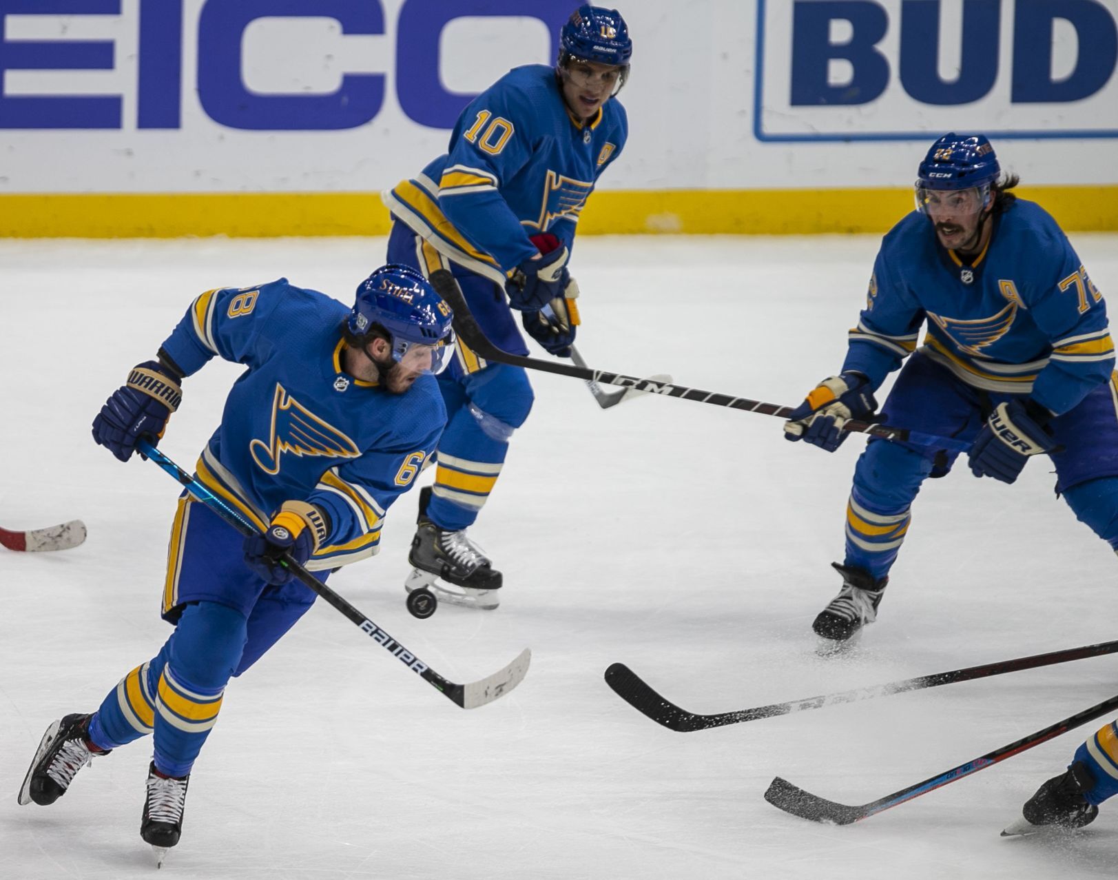 Blues versus Sharks